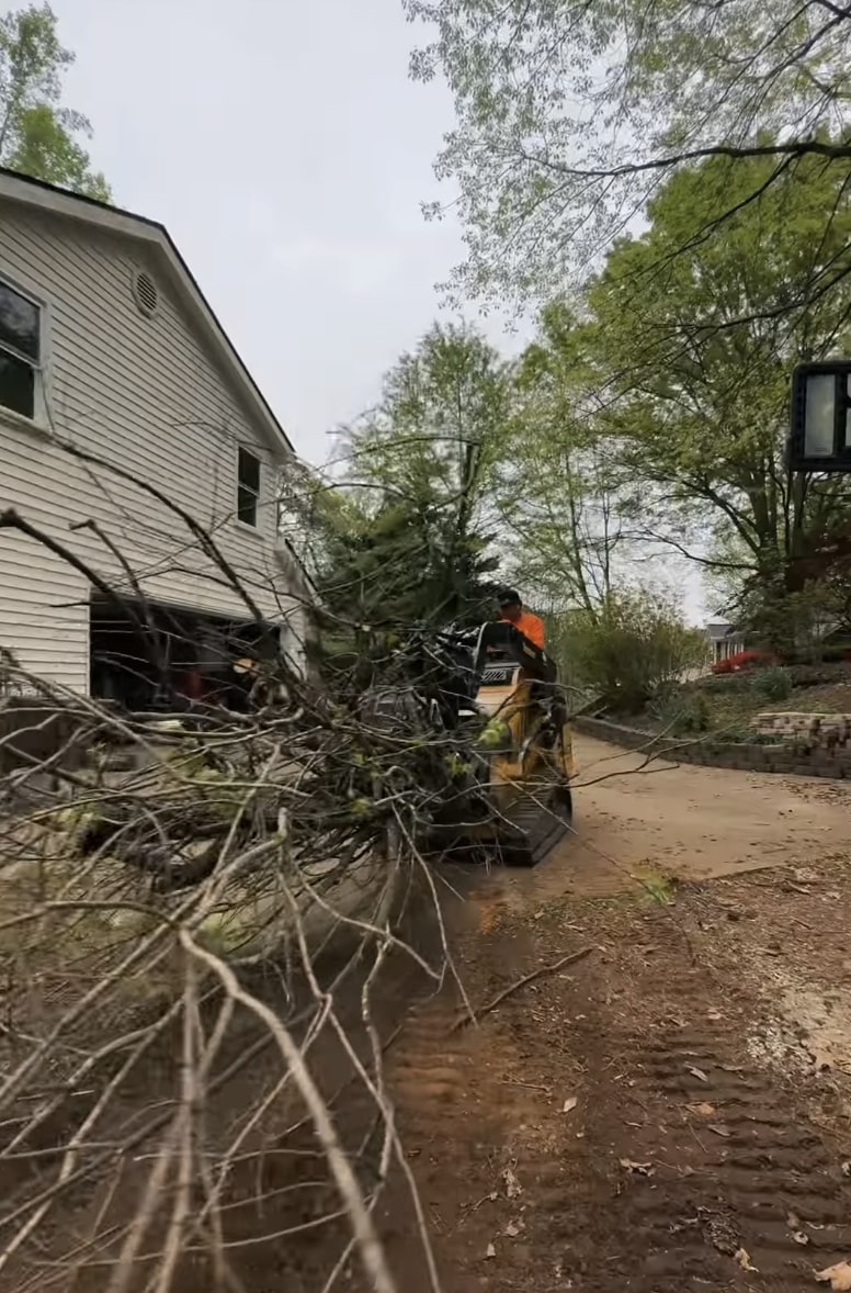 Emergency tree removal after storm damage in Kingman, AZ